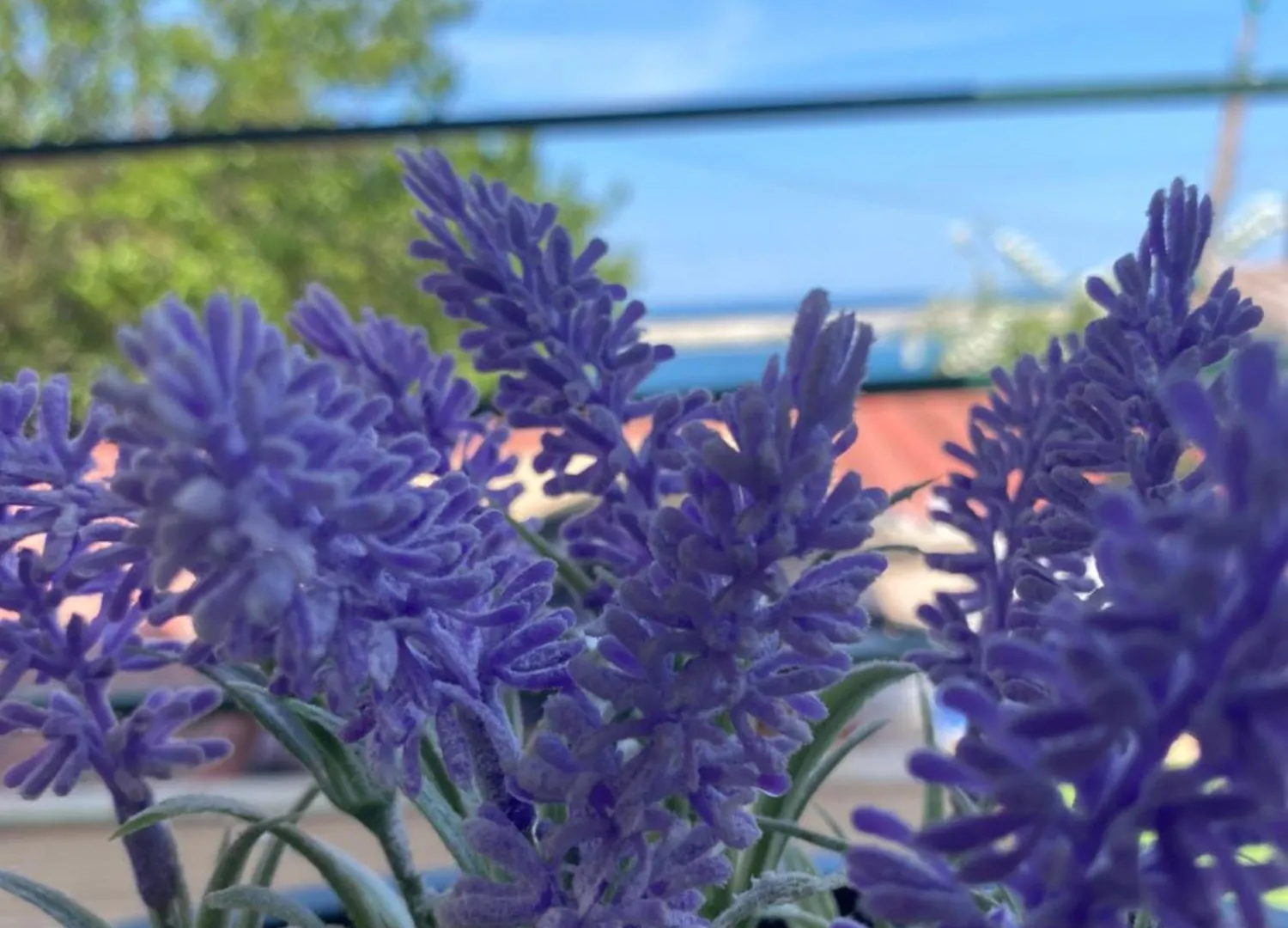 Casa Porto Villa Ierissos Holiday home